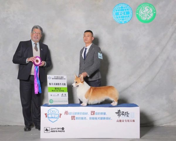 psb87QDQT9P.jpg