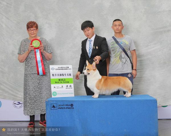 psbA7CRW1SD.jpg