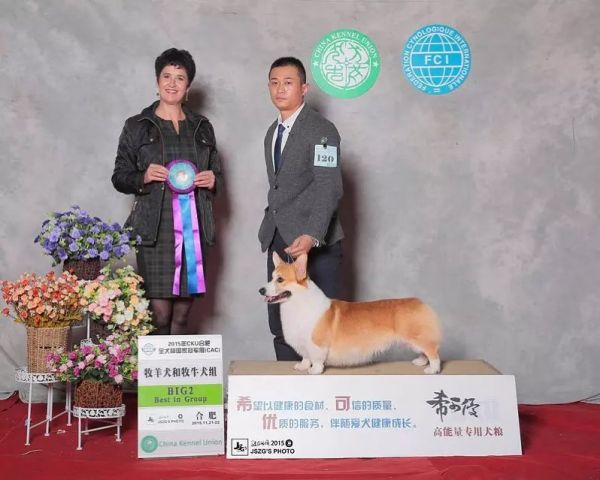 psbXTLTZ30M.jpg