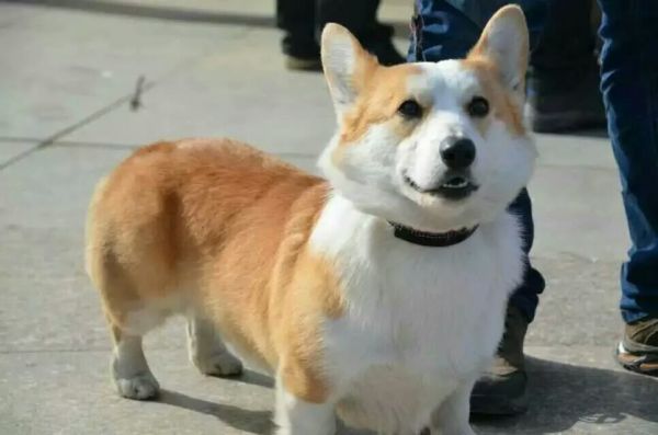 1463050898103.jpeg
