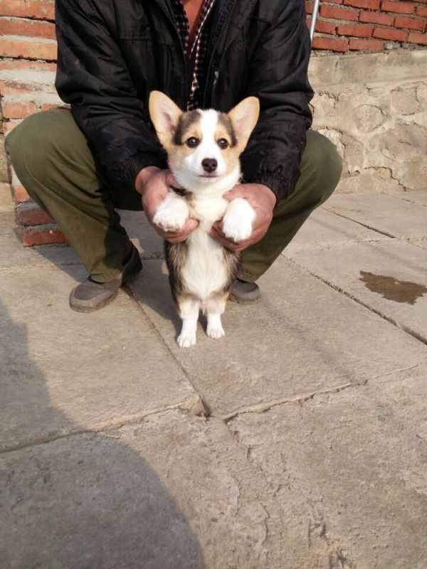QQ图片20160421205421.jpg