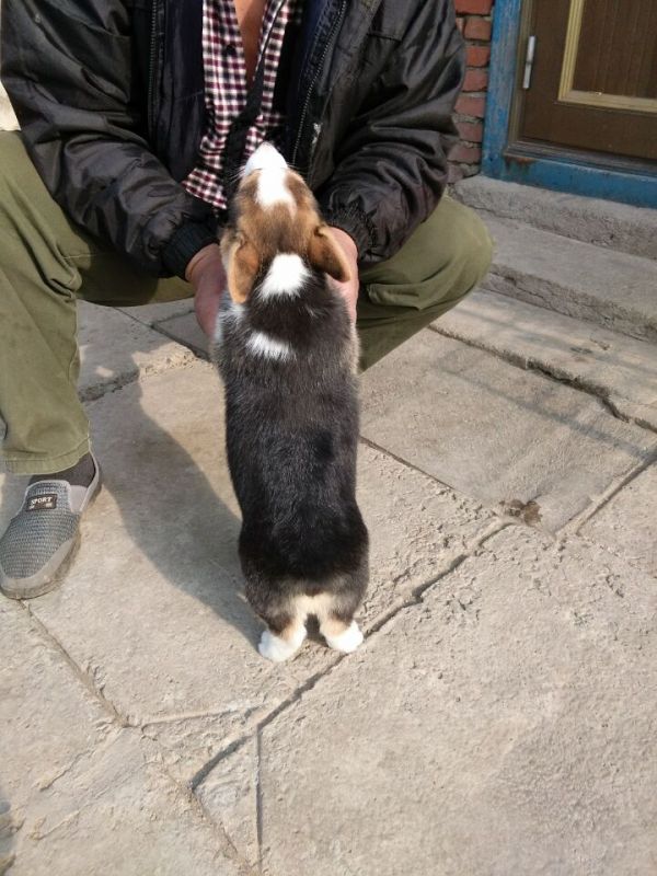 QQ图片20160421205430.jpg