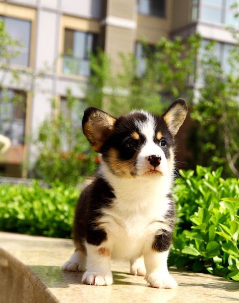 三弟弟2.jpg