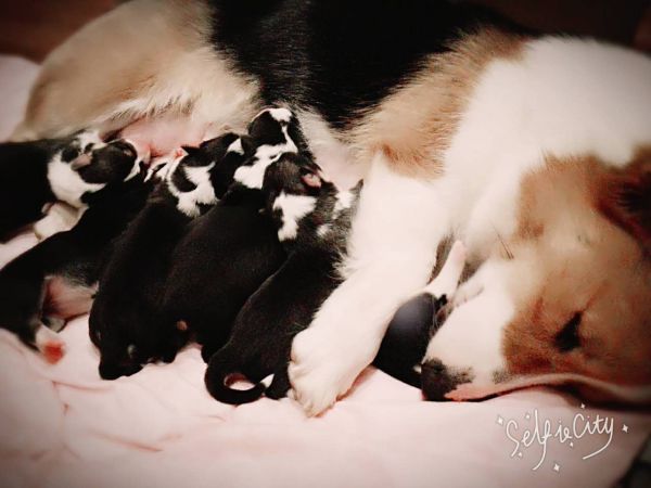 当妈妈了，呵呵