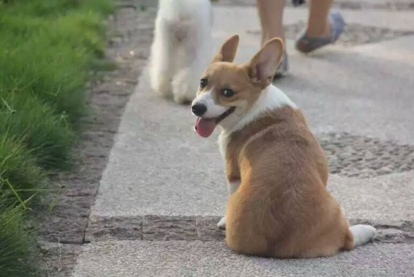 三个月的时候，你来到我们身边