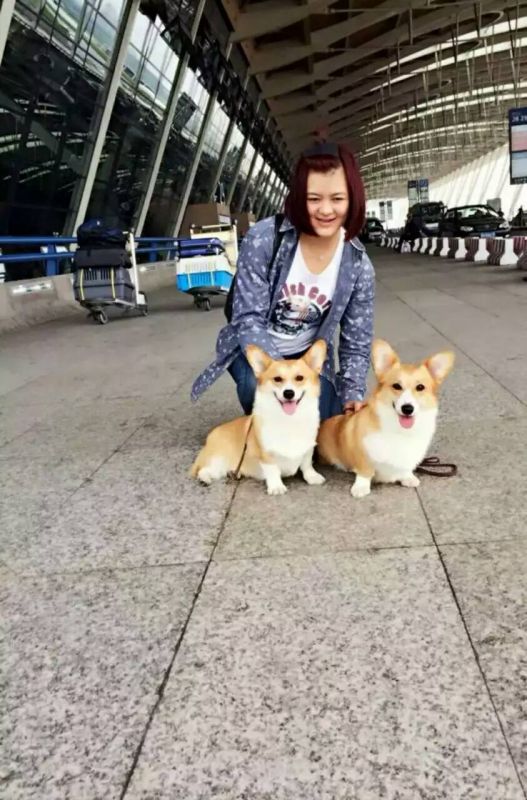 在上海比赛和布兰妮。婷婷妈咪在一起