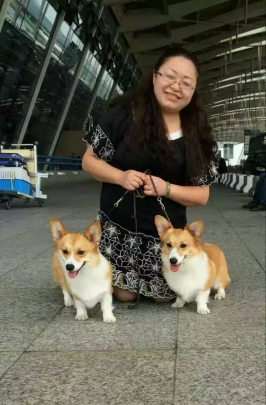 和洪妈咪在一起你和布兰妮就像一对影子一般