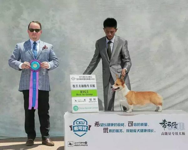 在没有毛的情况下，在银川得奖