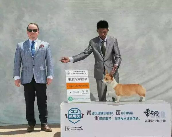 银川登陆