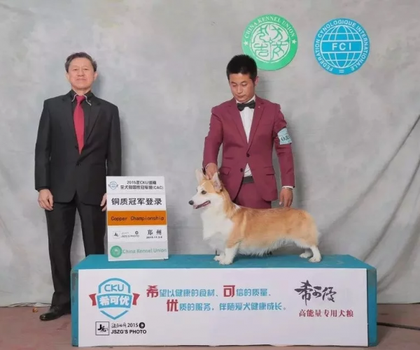 QQ图片20160425191344.png