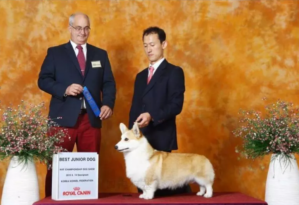 QQ图片20160425191421.png