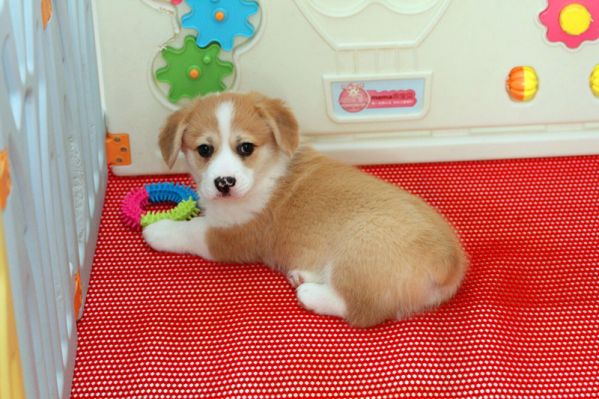 IMG_-60227479820160329_102028_副本.jpg