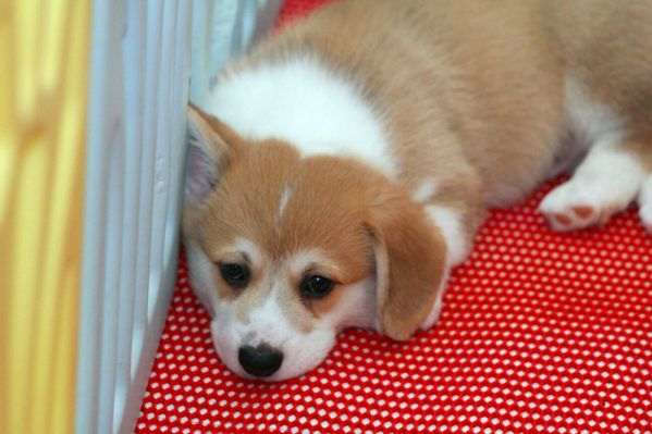 IMG_-145762970820160329_102028_副本.jpg