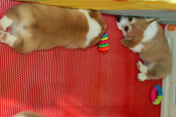 IMG_-156230767320160329_102028_副本.jpg