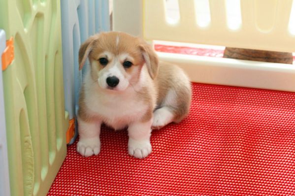 IMG_209286856620160329_102028_副本.jpg