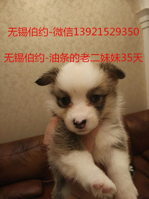 350902444581008010_副本.jpg
