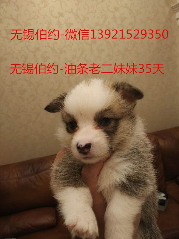 572142925159739819_副本.jpg