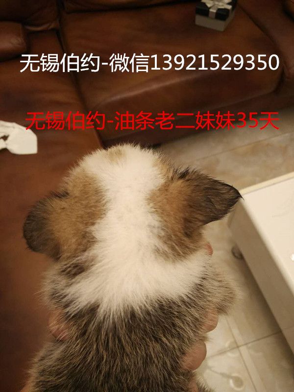 670354465276000576_副本.jpg