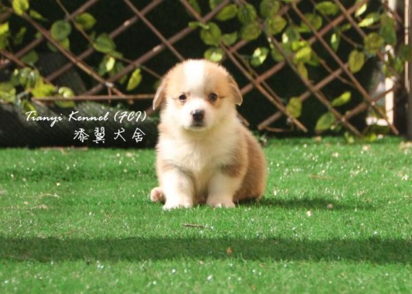 IMG_2267_副本.jpg