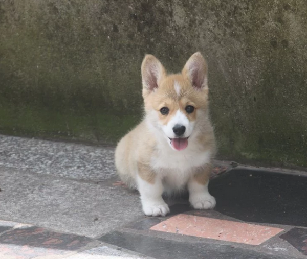QQ图片20160601203538.png