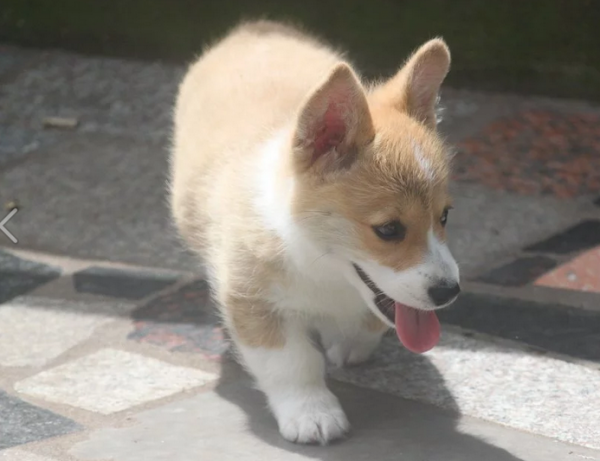 QQ图片20160601203726.png