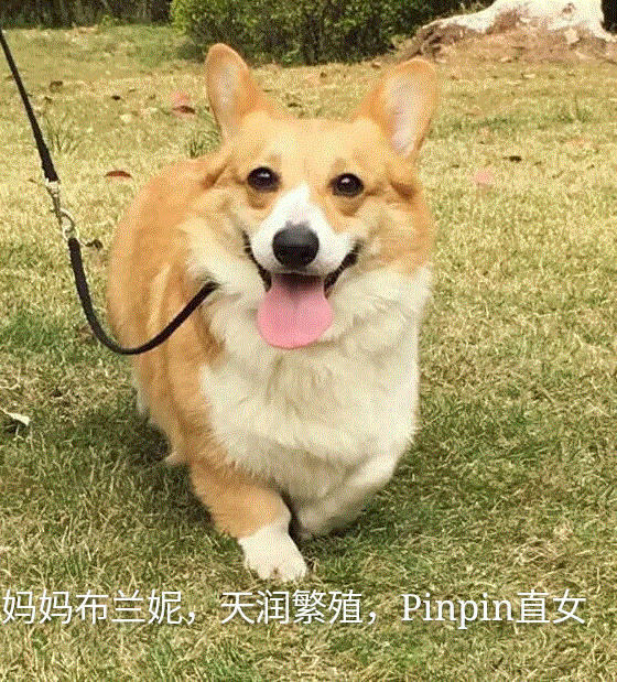 1457351674531_mh1457712979982.gif