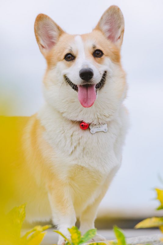 5月大_副本.jpg