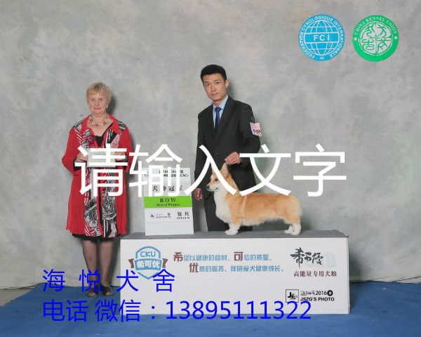 QQ图片20160412114917_meitu_5.jpg