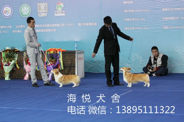 QQ图片20160414075646_meitu_2.jpg