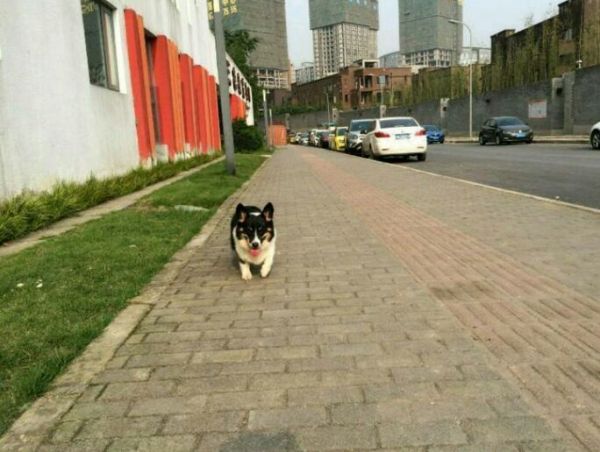QQ图片20160514112242.jpg