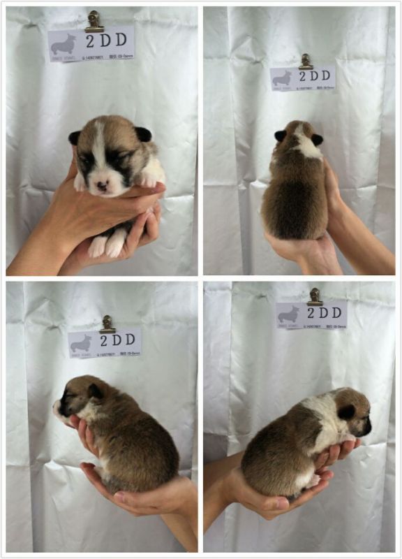 B.jpg