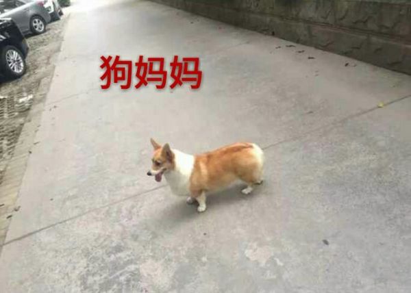 111.jpg