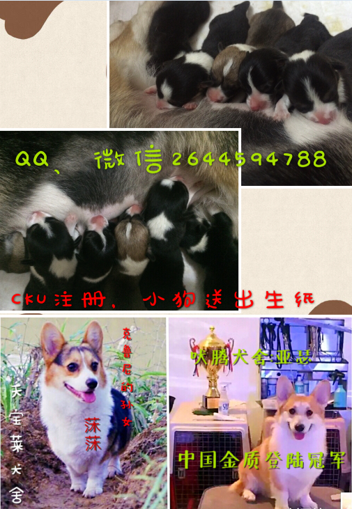 B9}J1AKBGULJY44U`9MS4A5.png