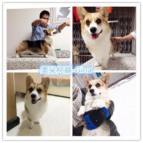 吉娜.jpg
