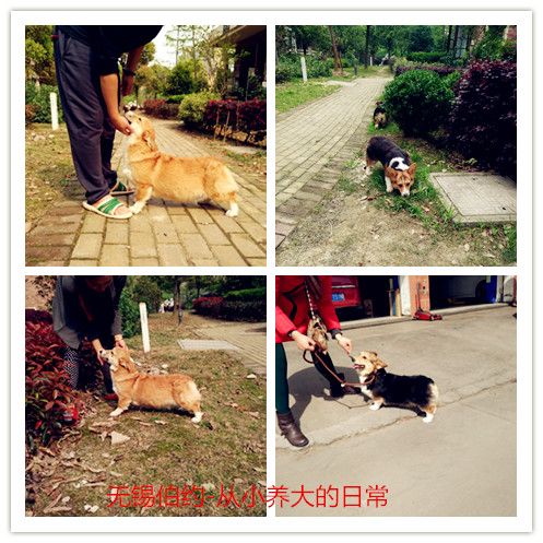 2016052105.jpg