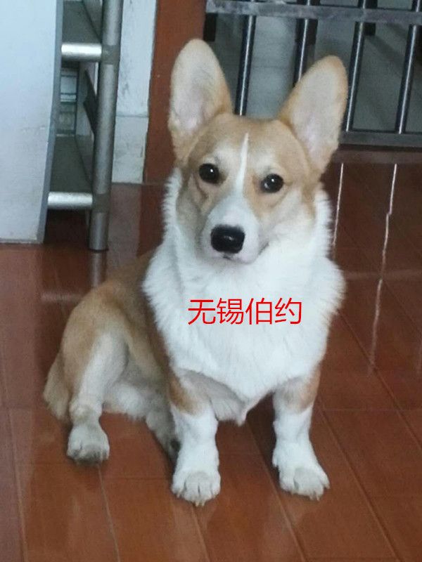 20160516_002_副本.jpg