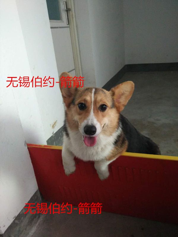 20160516_004_副本.jpg