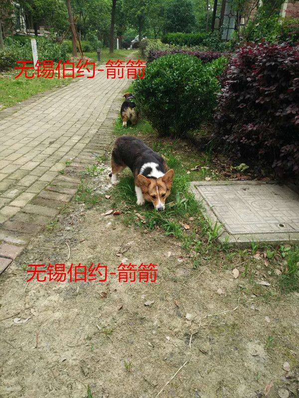 33192830293326934_副本.jpg