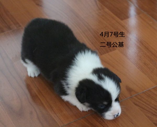 二号公基.jpg