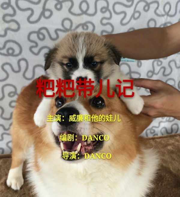 AA.jpg