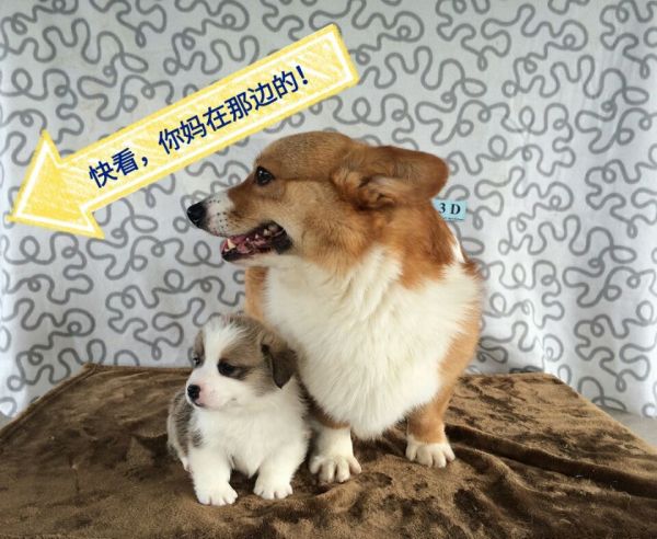 A.jpg
