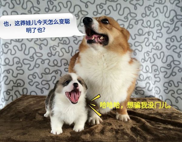 B.jpg