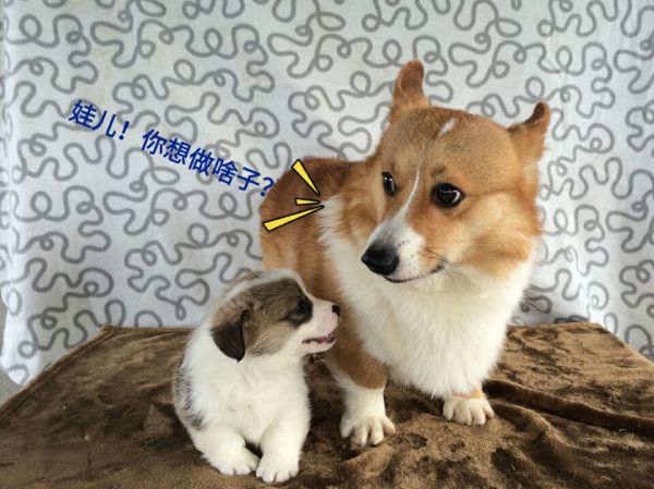 C.jpg