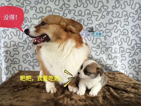 D.jpg