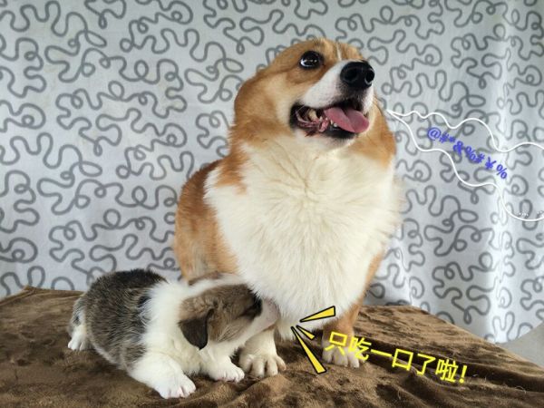 E.jpg