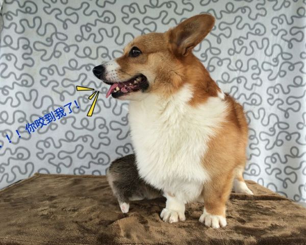 G.jpg