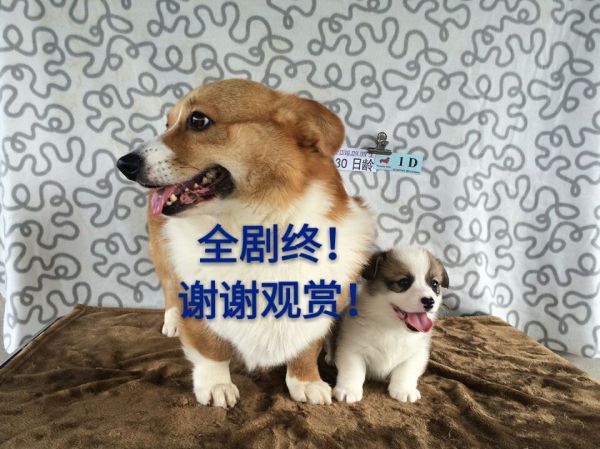 I.jpg