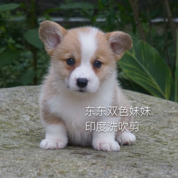 img_1266_看图王.jpg