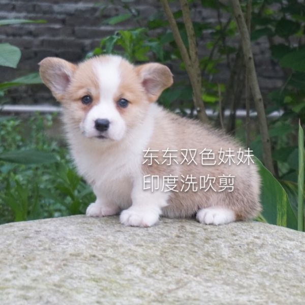 img_1267_看图王.jpg