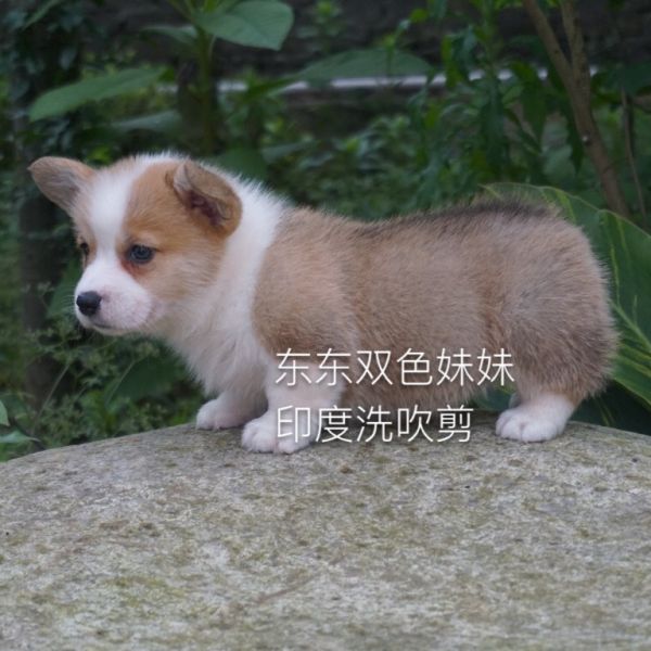 img_1268_看图王.jpg